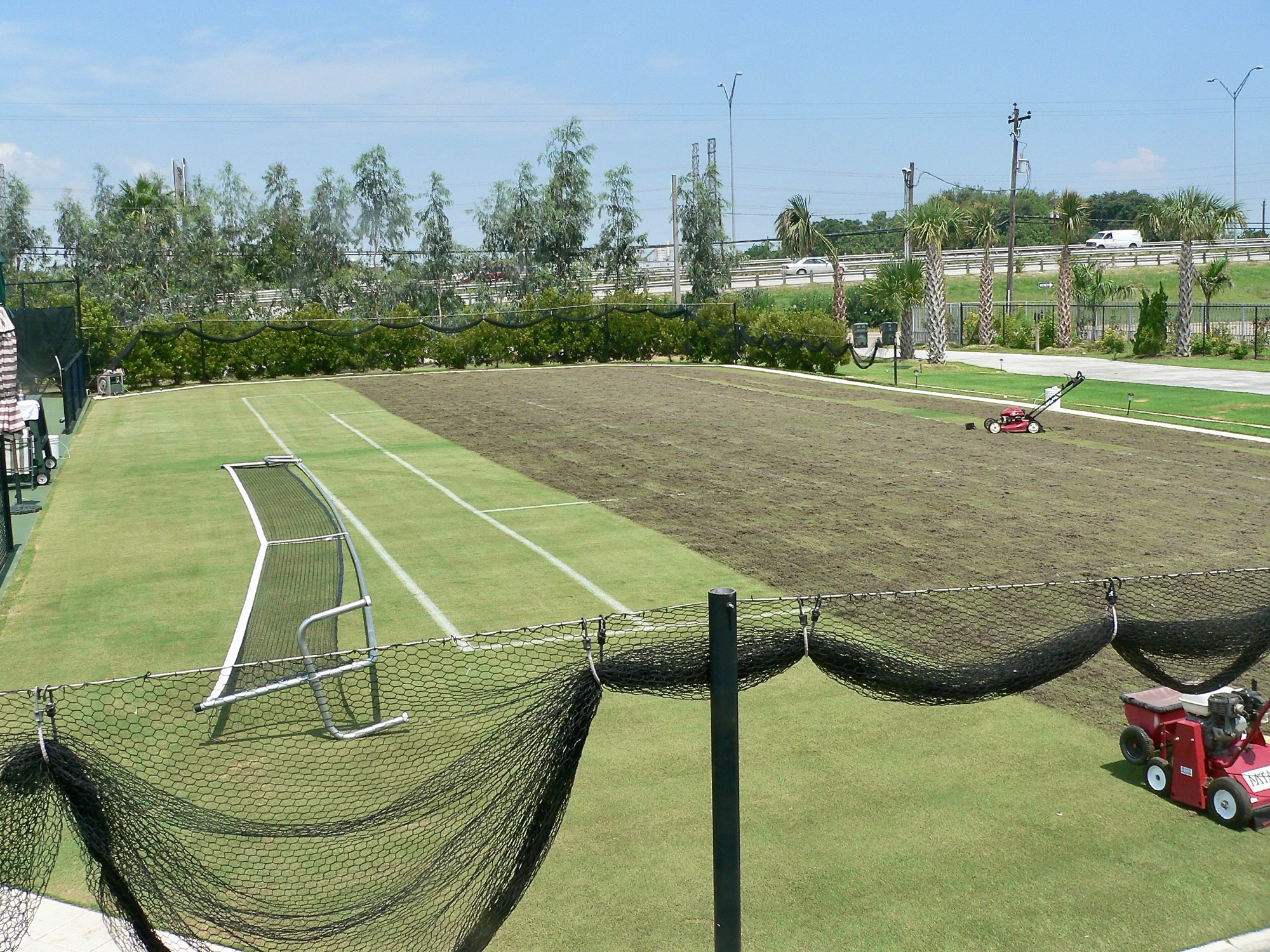 Dethatching the grass court